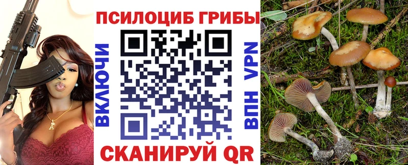 где найти   Брюховецкая  Псилоцибиновые грибы ЛСД 